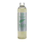 Gel za prhanje Saponificio Varesino Felce Aromatica: primary picture