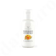 Balzam po britju Haslinger Calendula: primary picture