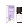 Renčelj Eterično olje sivke Lavandula X Intermedia 10 ml 